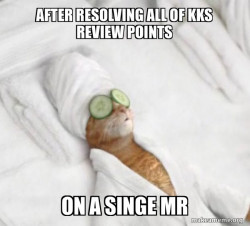 Pampered Cat Meme