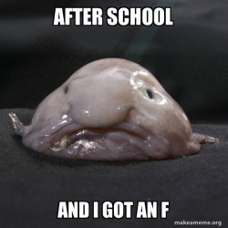 Blobfish
