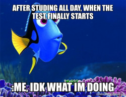 Dory from Nemo  (5 second memory)