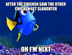 Dory from Nemo  (5 second memory)