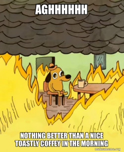 This Is Fine