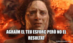 Frodo it's over it's done