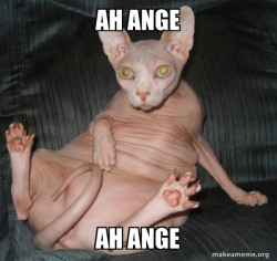 Ngocok