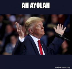 Trump Impeached
