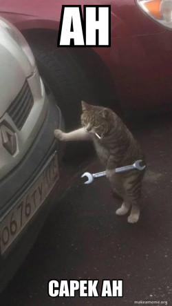 Mechanic Cat