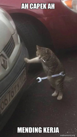 Mechanic Cat
