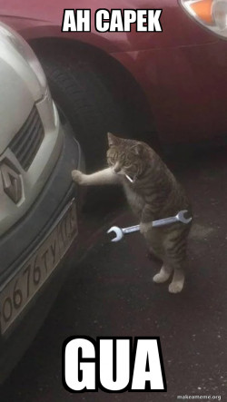 Mechanic Cat