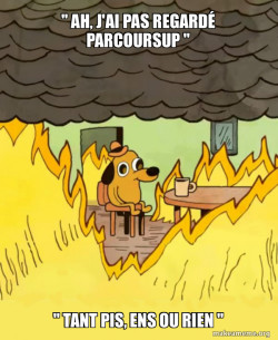 This Is Fine
