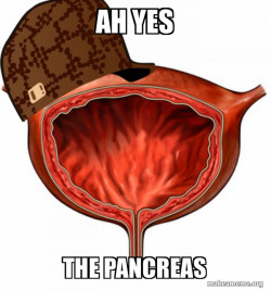 Scumbag Bladder