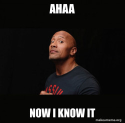 Dwayne Johnson (The Rock)