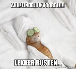 Pampered Cat Meme