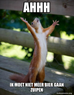 Happy Squirrel