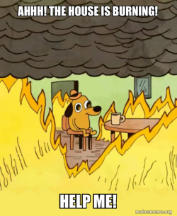This Is Fine