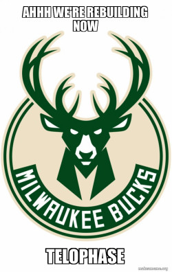 Milwaukee Bucks