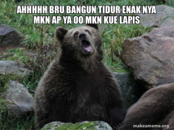 Sarcastic Bear