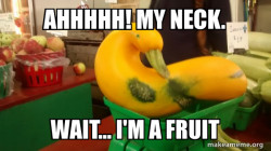 Gourd Advice Mallard
