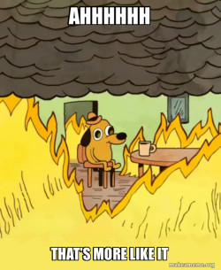 This Is Fine