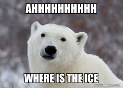 WHERE IS THE ICE