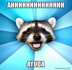 Lame Pun Coon