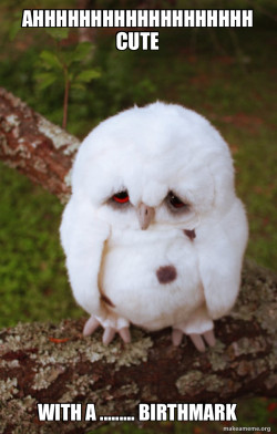 Sad Owl