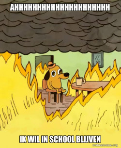 This Is Fine