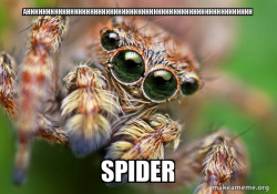 Hipster Spider