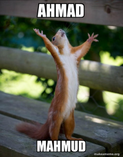 Happy Squirrel