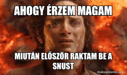 Frodo it's over it's done