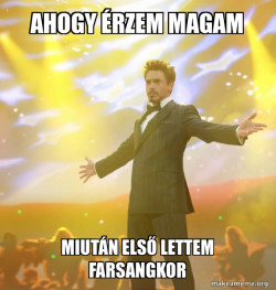 Tony Stark Success