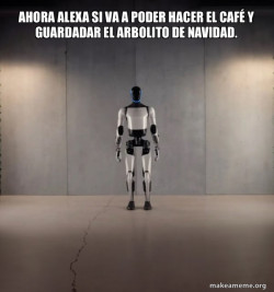 Tesla Robot