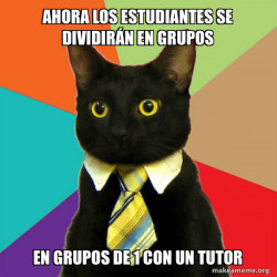 Business Cat