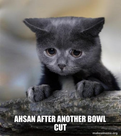 Confession Cat