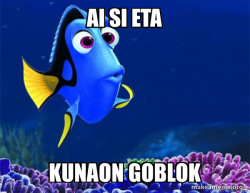Dory from Nemo  (5 second memory)