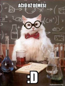Chemistry Cat