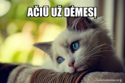 First World Cat Problems