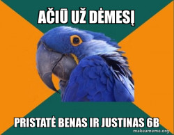 Paranoid Parrot