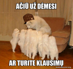 Scumbag Storytelling Dog