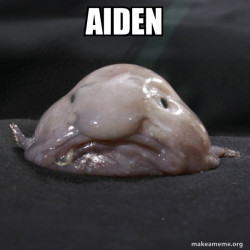 Blobfish
