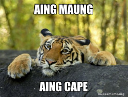 Confession Tiger