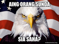 American Pride Eagle