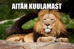 cute lion 
