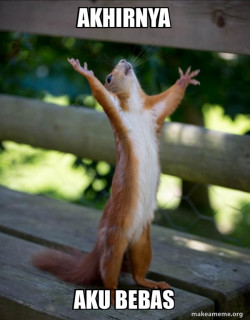 Happy Squirrel
