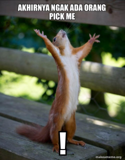 Happy Squirrel