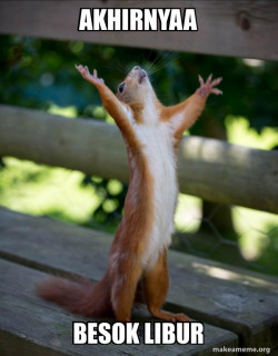 Happy Squirrel