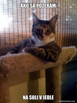 The Most Interesting Cat in the World