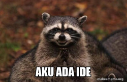 Evil Plotting Raccoon