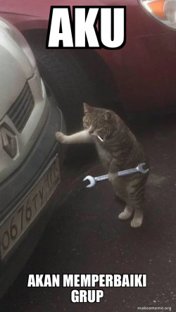 Cat oooo
