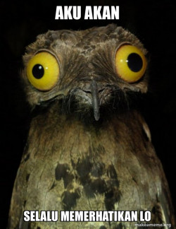 Weird Stuff I do Potoo