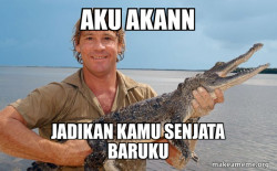 Steve irwin