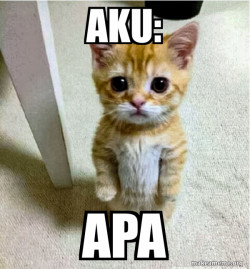 Cute Cat Standing